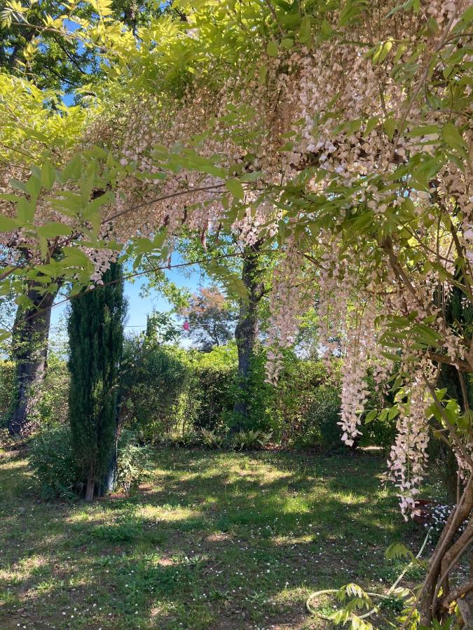 Tenuta Poggio Alla Farnia Fauglia Buitenkant foto