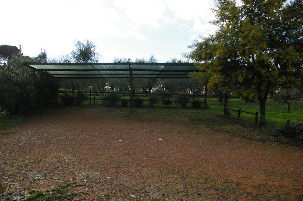 Tenuta Poggio Alla Farnia Fauglia Buitenkant foto